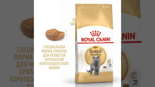 Royal Canin British Shorthair Adult сухой корм для взрослых кошек породы британская короткошерстная смотреть онлайн