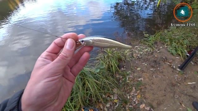 Рыбалка на Базе Сосновый Бор, поймали щук!!! (14,10,2018г) смотреть онлайн