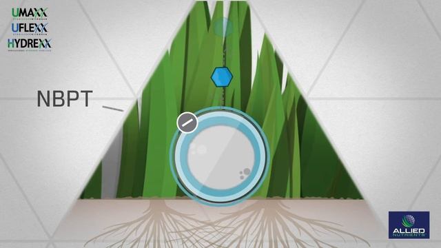 What is Stabilized Nitrogen Fertilizer Technology? | Understanding EEFs