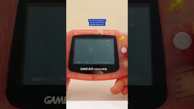 Playing The Amazing Virtual Sea Monkeys Game Boy Advance Game... смотреть онлайн