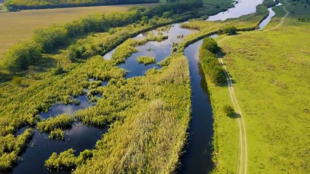 Есмь. Есмь Азъ Руси Державы Света. смотреть онлайн