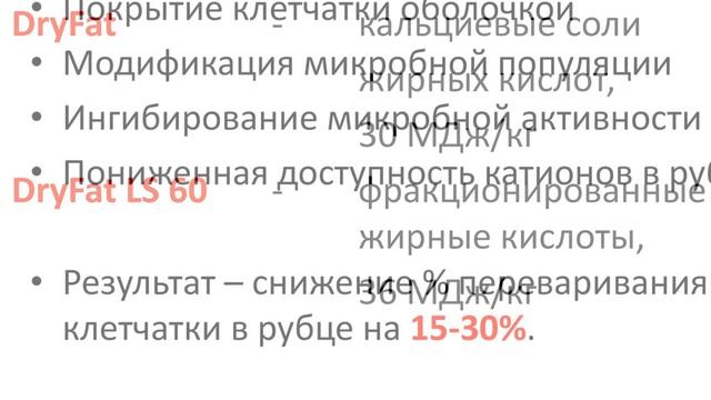 Защищенные жиры в кормлении дойных коров смотреть онлайн