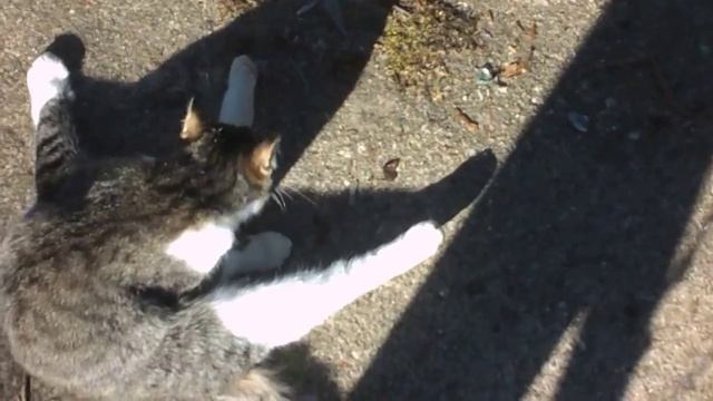 Как подмываются в деревне? смотреть онлайн