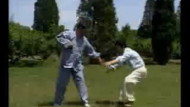 Chen Taichi Free-style Push-hand