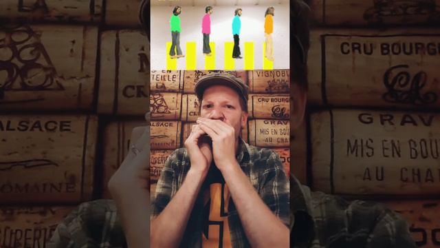 Ob-La-Di, Ob-La-Da (The Beatles) - Harmonica (+Tabs) смотреть онлайн