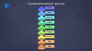 6 класс - Биология - Классификация живых организмов