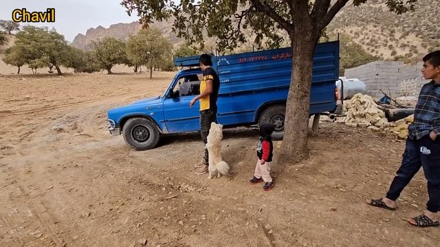 Ali's Efforts To Improve Living Conditions In The Mountains: Nomadic Lifestyle