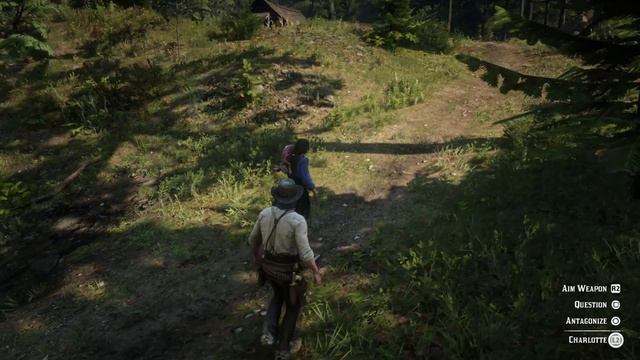 RDR 2 Dialogue | John | Stranger Missions | The Widow Of Willard's Rest смотреть онлайн