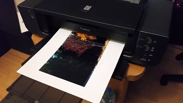 Canon PIXMA PRO 9500 DRUK KOLOR смотреть онлайн
