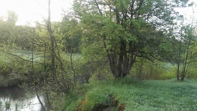 Так поет природа. смотреть онлайн