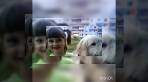 "?Трогическая история Лизы Фомкиной." Лиза Алерт.?"