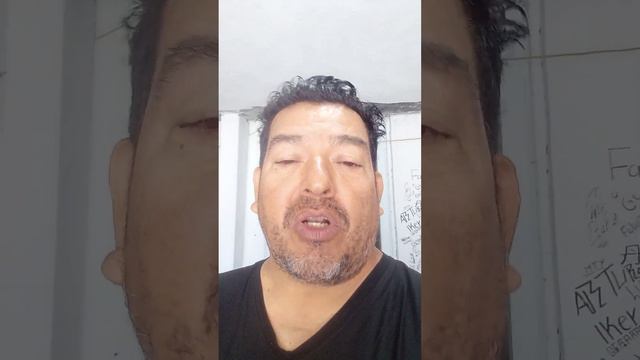 el perezoso la mascota del chaparro смотреть онлайн