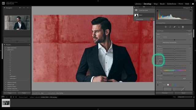How To Blur Background in Lightroom Classic | Masking Photo and Blurring Background | Tutorial смотреть онлайн