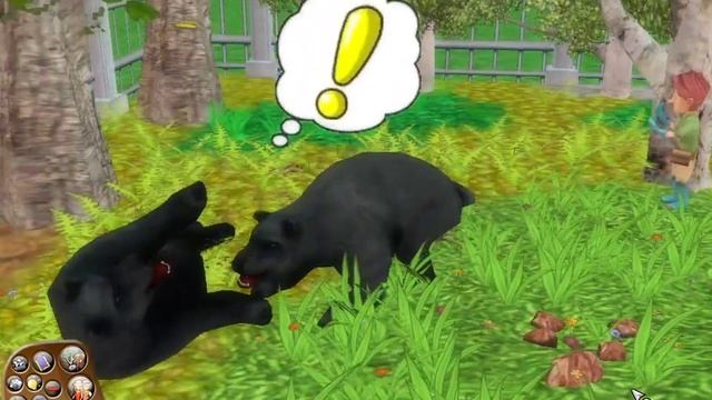 Marine Park Empire - Bear Fight смотреть онлайн