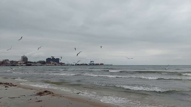 Законы жизни. Закон: На каждую силу найдется другая сила. Анапа. У моря - о жизни и ее законах. смотреть онлайн