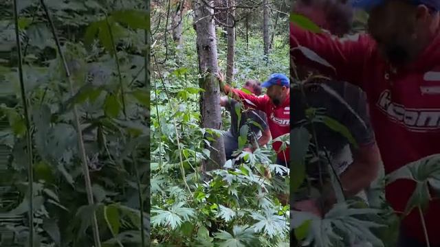 Ridder. Part II. Kazakhstan смотреть онлайн