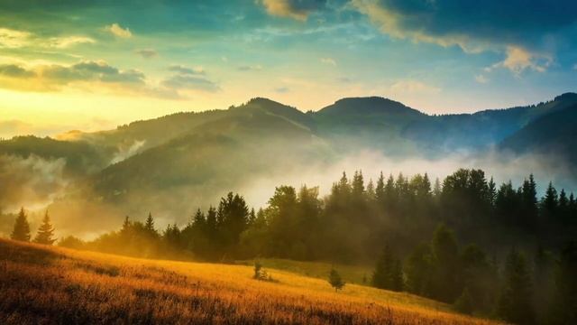 Музыка для сна, отдыха и расслабления с укулеле смотреть онлайн