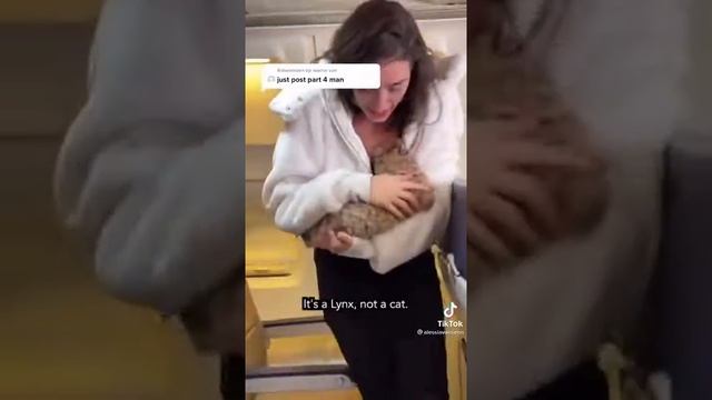 Emergency service emotional support animal смотреть онлайн