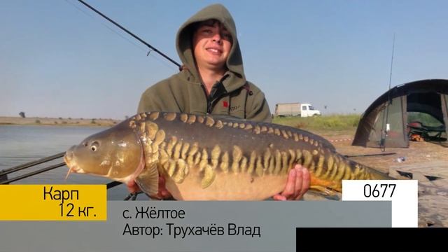 Фотоальбом - Рыбалка №135