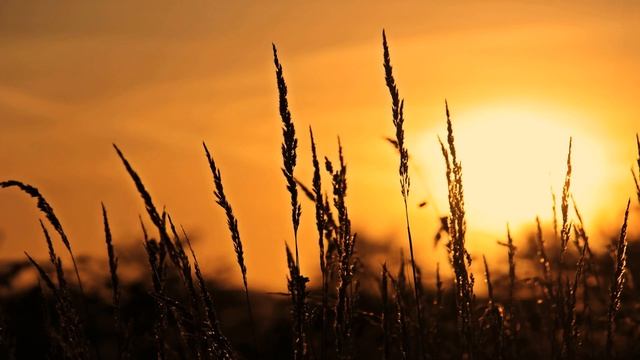 FRASES MOTIVADORAS SOBRE EL AMANECER смотреть онлайн