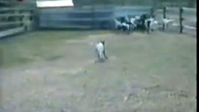 козочка смотреть онлайн