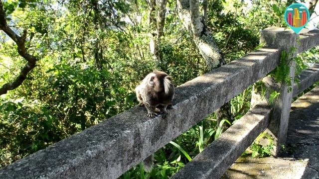 Статуя Христа Искупителя| Рио Де Жанейро смотреть онлайн