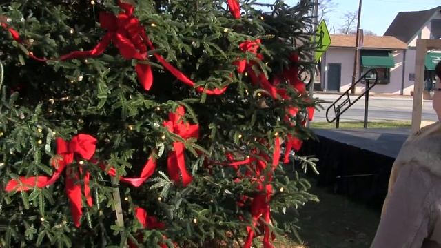 США. Проверка елки в нашем райончике на подлинность. смотреть онлайн