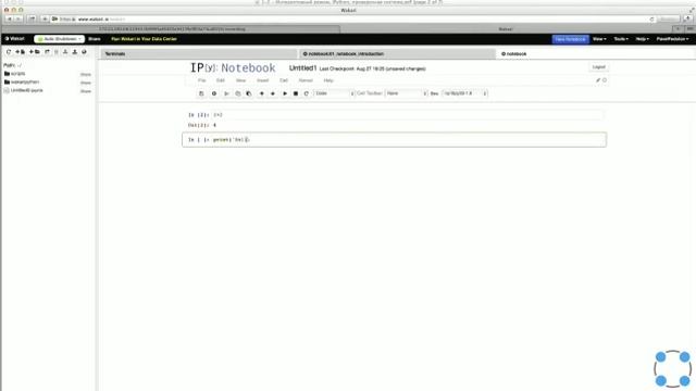 1.2 Интерактивный режим Python. IPython смотреть онлайн