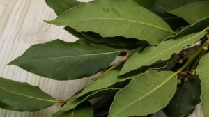 Как избавиться от тараканов, эффективное народное средство