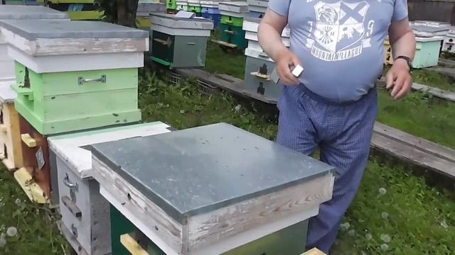 Как увеличить пасеку? Часть 5. Результаты. смотреть онлайн