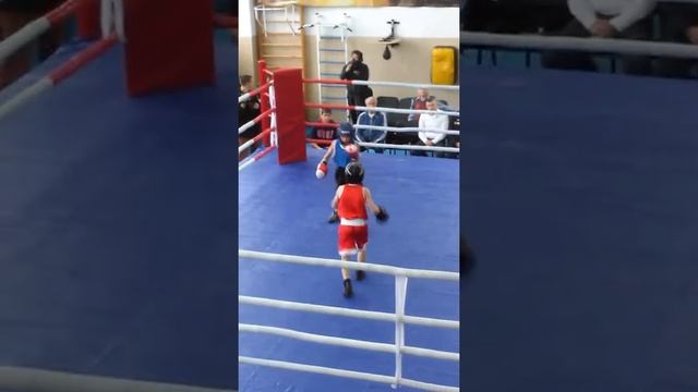 Чемпионат по боксу. 11.11.2017г.