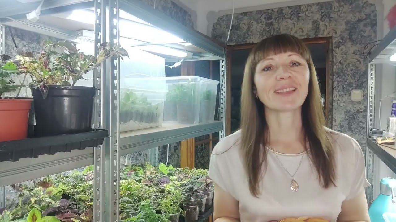 Большая закупка семян цветов.Супер ампельные петунии, алиссум, бегонии, эустома на весну 2024. смотреть онлайн