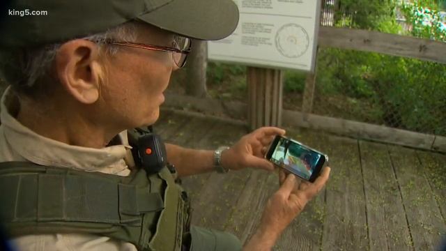 Bear caught on camera in Redmond смотреть онлайн