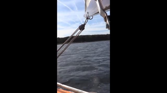 Разборный парусный катамаран смотреть онлайн