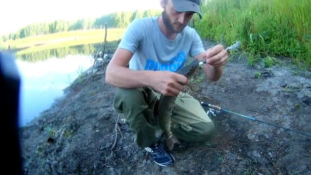 Ловля щуки и карася в Омской области на реке Оша. 08-09.07.20. Часть 1-ая. смотреть онлайн