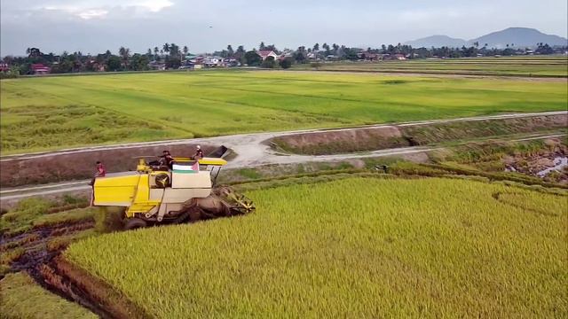 Footage of rice harvesting machine using SJRC F11 4K PRO drone. смотреть онлайн