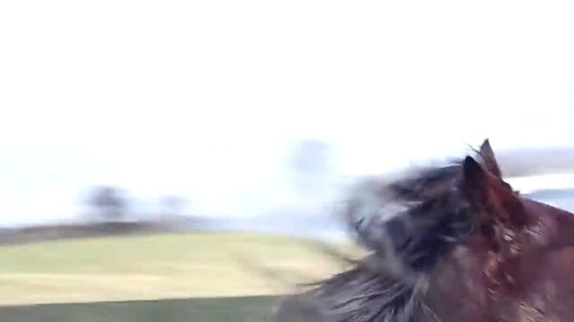 tia;boxing day.HD смотреть онлайн