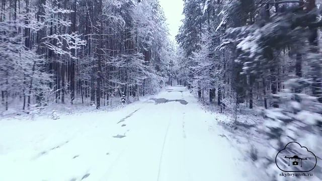 Брянский лес 2016 смотреть онлайн