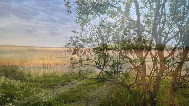 ♫ .Валентина Толкунова – «Где ты раньше был», муз. Э. Колмановского, слова Е. Долматовского смотреть онлайн