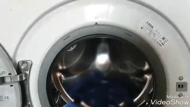 Говорящая чихуахуа белка Повтори фото знаменитых собак смотреть онлайн