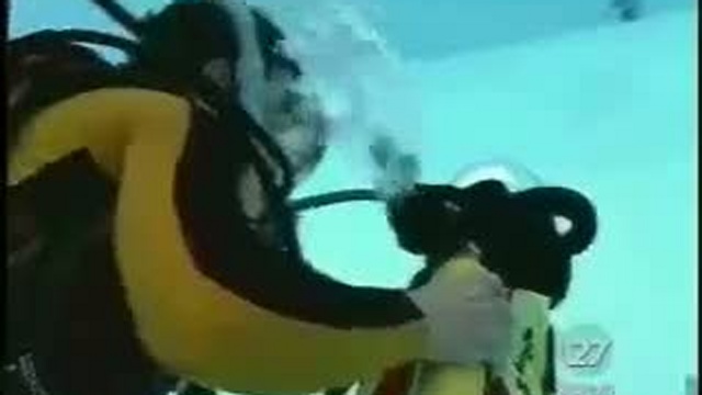 Кот водолаз смотреть онлайн