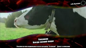 Савушкин — «Всегда свежий творог» в 8х быстрее