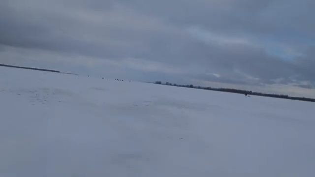 Река Черемшан,активный поиск. смотреть онлайн