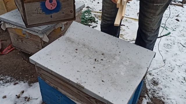 Подкормка пчёл мёдом зимой. Зимняя подкормка слабых семей и отводков пчел. Мед в пакетах зимой смотреть онлайн