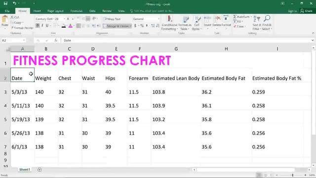 MS Excel 2016 Lessons 8 Formatting Cells смотреть онлайн