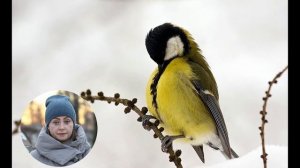 Учим зимующие птицы. Зимние птицы. Сорока, ворона, синица, снегирь, воробей. Пальчиковая гимнастика