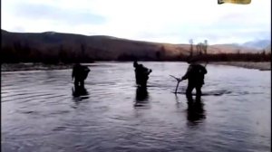 ОХОТА НА ИЗЮБРЯ в горах Бурятии.