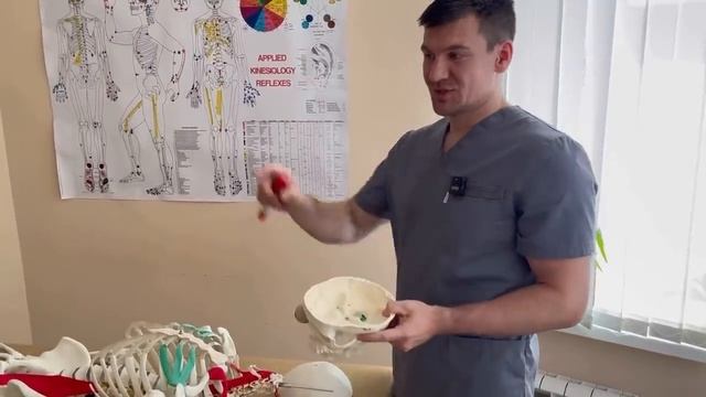 Эта точка на черепе усиливает кровоснабжение мозга на 997% Прибавляем новые нейроны к своему мозгу смотреть онлайн