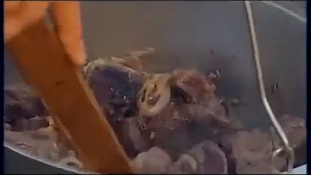 Вкусная еда для всех 