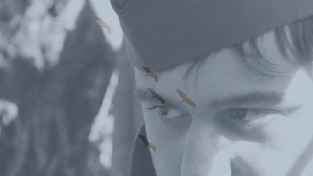 ''Журавли'' исп. Инна Лысенко (песня композитора Я́на Фре́нкеля на стихи Расу́ла Гамза́тов) смотреть онлайн